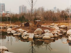 -莲花池公园