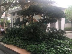 -华山儿童公园