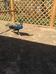 -萌宠亲子动物乐园(槐房万达店)