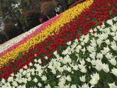 上海鲜花港-上海鲜花港