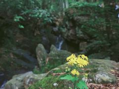 -藏龙百瀑风景区