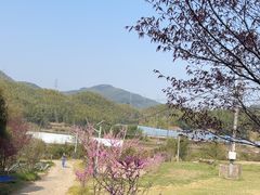 -宁波浙东大竹海景区