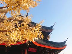 -广东圆玄道观