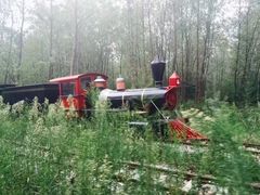 -合肥滨湖国家森林公园