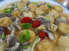 -功夫兔