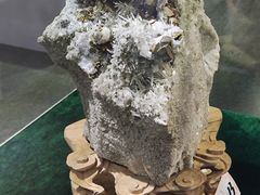 -中国第四纪冰川遗迹陈列馆