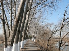 -东郊湿地公园