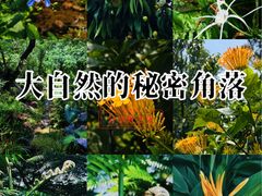 -东莞植物园