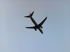 -空港花田景区