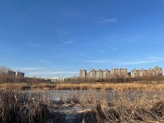 -马家湾湿地公园