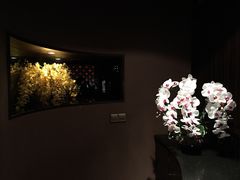 -丽晶大班SPA(大沽店)