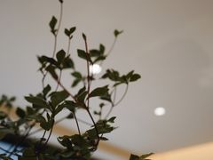 -Onirii Coffee(长乐路店)