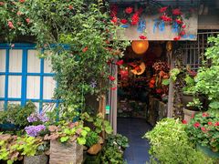 -桂林市花鸟市场