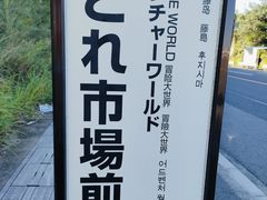 -南纪白浜Toretore市场