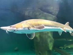 -多彩贵州城极地海洋世界