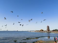 -八仙过海景区