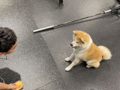 -YCHL Studios健身工作室(市二宫店)