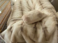 -搬帮帮日式精品打包搬家服务