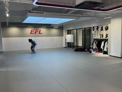 -EFL巴西柔术·综合格斗·泰拳·少儿体能训练(虹桥德必馆)