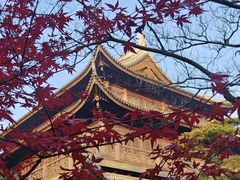 -龙华寺