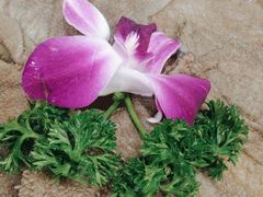 -山城年华老火锅(玉林店)