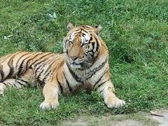 -深圳野生动物园