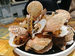 烤野生扇贝-金谷园饺子·烧烤(人大总店)