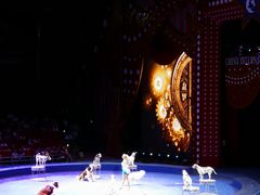 -珠海横琴长隆《卡卡虎奇遇记》