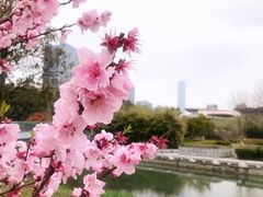 -白塘生态植物园