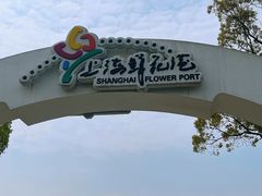 -上海鲜花港
