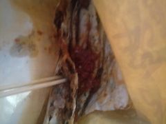 -金华烧饼(文鼎广场店)