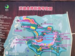 -洪湖湿地生态园