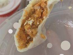 胡萝卜素水饺-岳姥姥饺子(泺文路店)