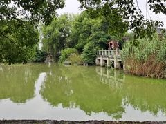 -同里湖度假村(二期店)