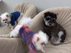 -怪兽屋·羊驼·猫咖·狗咖(俊华广场店)