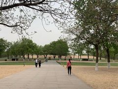 -汉长安城未央宫国家考古遗址公园