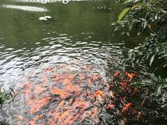 -瑞穗牧场