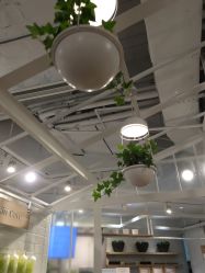-悦诗风吟innisfree