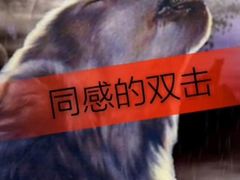 -戏精管理局·剧本杀·桌游·血染钟楼