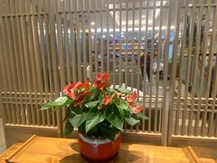 -顺德佬华侨城店·商务宴请·团建