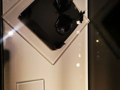 -BLACKSWAN黑天鹅(环球店)