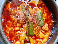 -陈麻婆豆腐总店