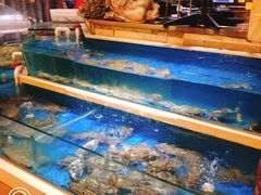 水产区-老姑砂锅·烧烤天津菜(体北道店)