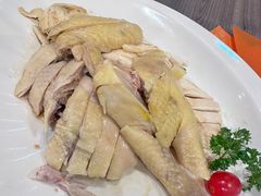 -五星海南鸡饭餐馆(东海岸路店)
