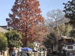-绩溪龙川景区