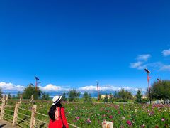 -青海湖国家重点风景名胜区