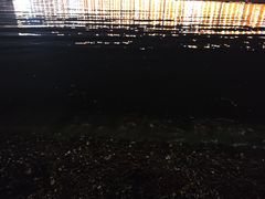 -黑石礁公园