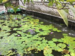 景观位-一品烧农庄·佛山本地菜(西岸店)