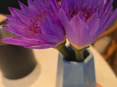 -莲西餐(曲江店)
