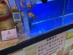 -桃子餐厅·天津菜(红星路直营店)